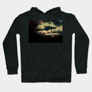 Sunset silhouette Hoodie